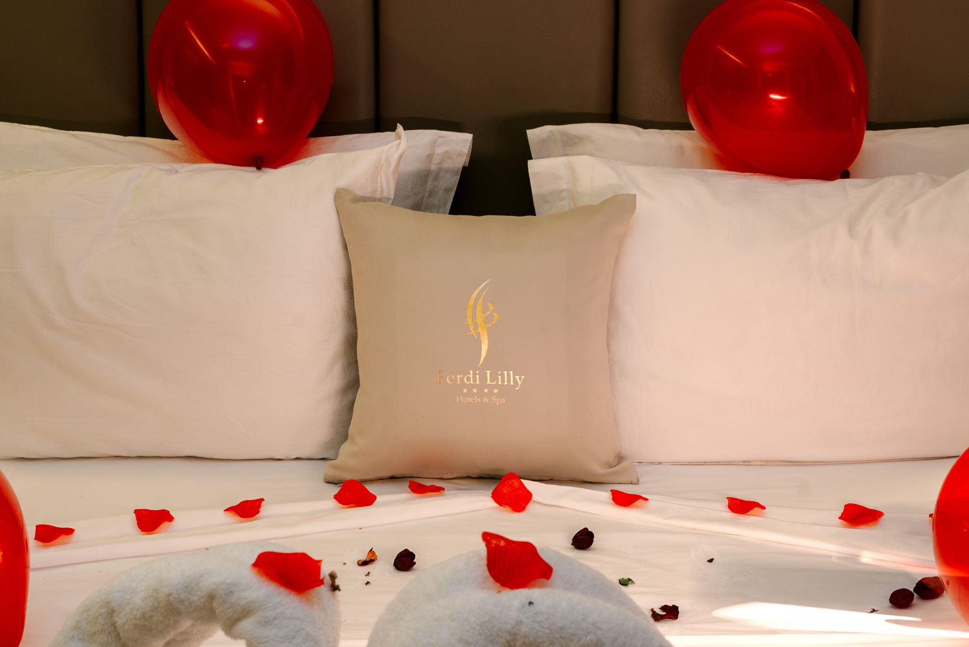Suite Noces Logo